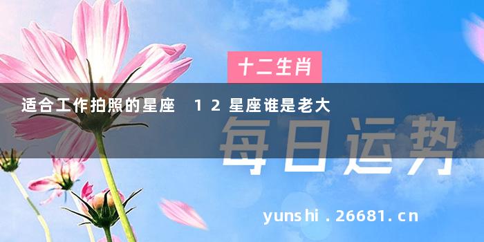 适合工作拍照的星座 12星座谁是老大